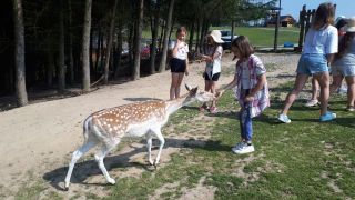 285824340_730392124821073_4241926247037488153_n